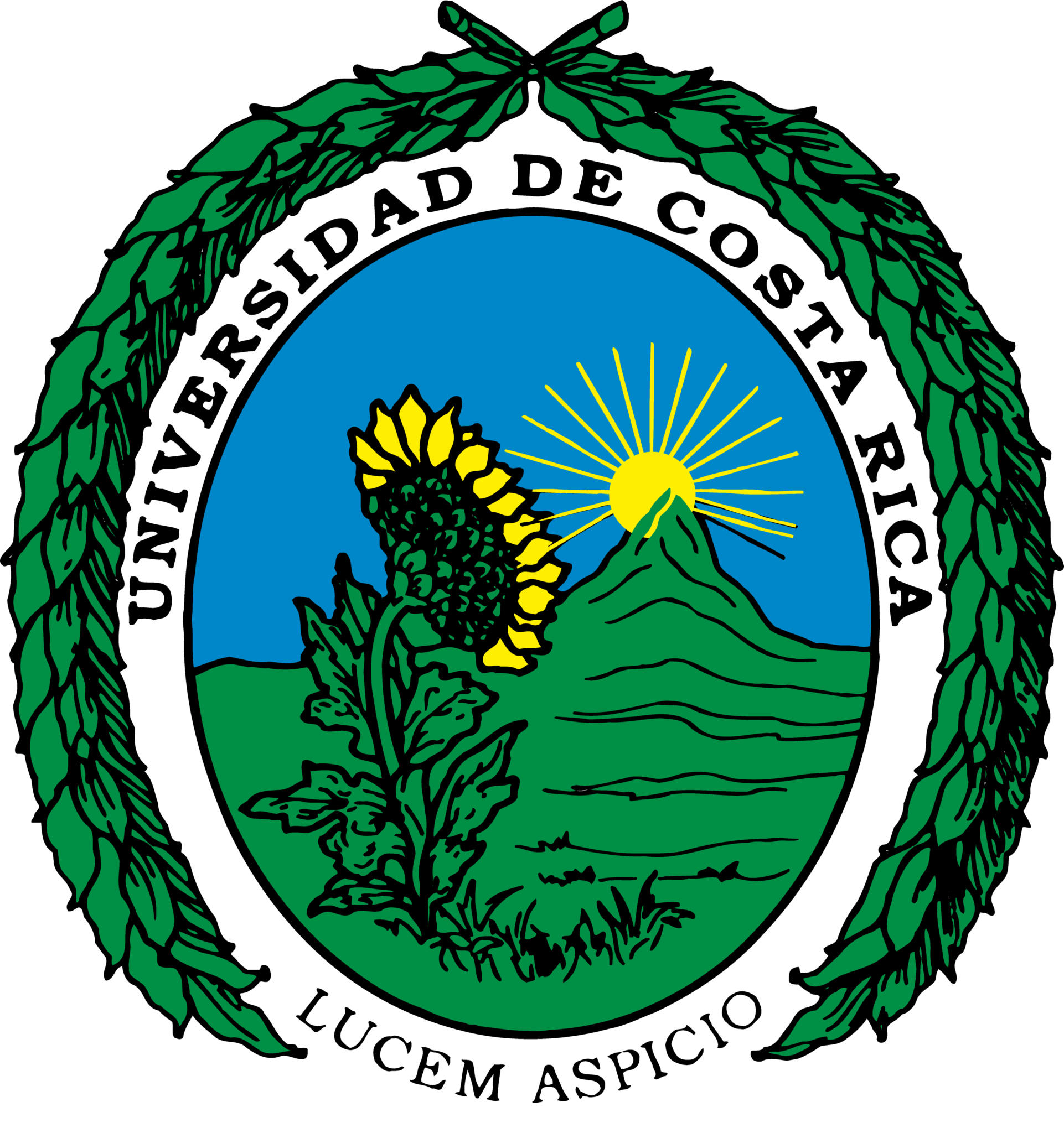 Angeluscr Clínica Medicina Estética Antiaging #1 Costa Rica11